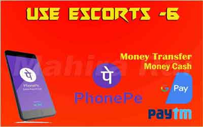 use escorts hyderabad escorts 6